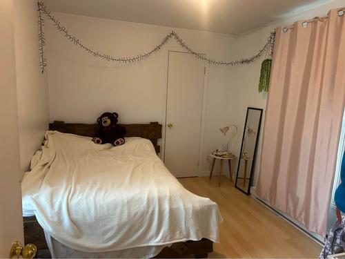 1 bedroom apartment for rent in Lévis — photo 9