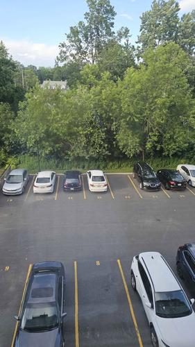 Appartement de 1 chambre à louer à Longueuil — photo 12