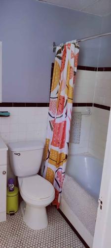 1 bedroom apartment for rent in Montreal - Le Plateau-Mont-Royal — photo 7