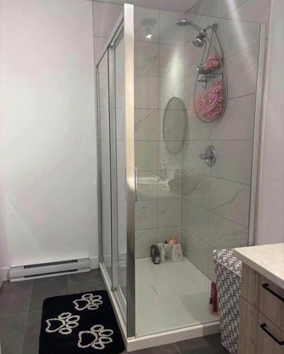 2 bedrooms apartment for rent in Lévis — photo 12