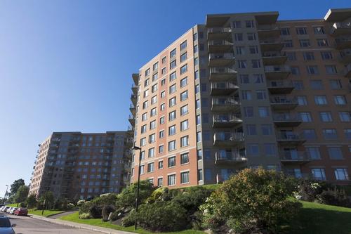 2 bedrooms apartment for rent in Québec - Sainte-Foy–Sillery–Cap-Rouge — photo 10