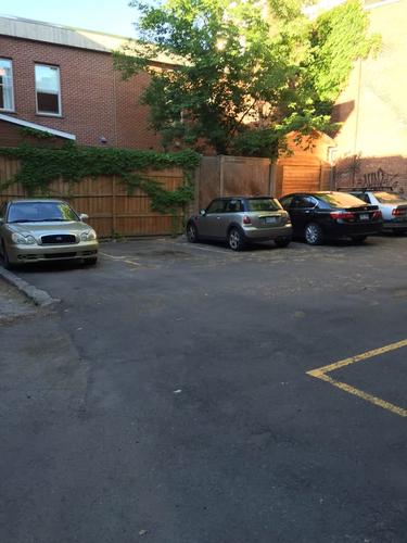 2 bedrooms apartment for rent in Montreal - Le Plateau-Mont-Royal — photo 16