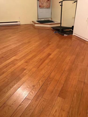 1 bedroom apartment for rent in Montreal - Villeray–Saint-Michel–Parc-Extension — photo 4