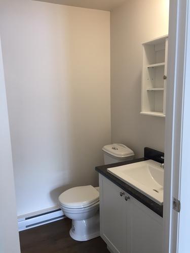 Appartement de 1 chambre à louer à Québec - La Cité-Limoilou — photo 10