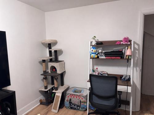 2 bedrooms apartment for rent in Québec - La Cité-Limoilou — photo 6