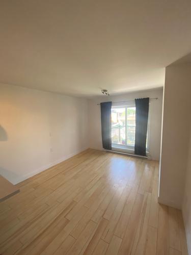 1 bedroom apartment for rent in Montreal - Rosemont–La Petite-Patrie — photo 3