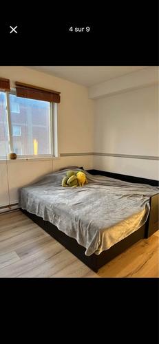 Appartement de 2 chambres à louer à Québec - Charlesbourg — photo 6