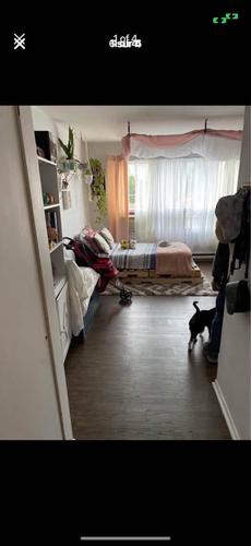 Studio for rent in Sherbrooke — photo 4