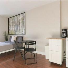 1 bedroom apartment for rent in Montreal - Rosemont–La Petite-Patrie — photo 9