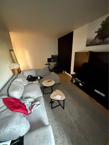 Appartement de 1 chambre à louer à Québec - La Cité-Limoilou — photo 2