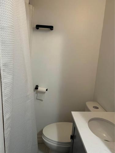 1 bedroom apartment for rent in Montreal - Le Plateau-Mont-Royal — photo 3