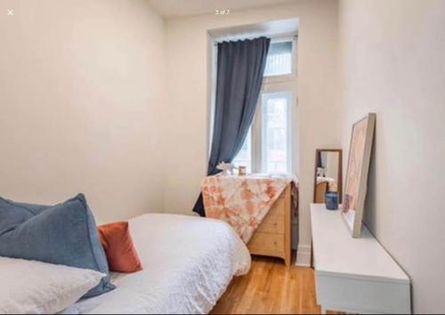 3 bedrooms apartment for rent in Montreal - Le Plateau-Mont-Royal — photo 5