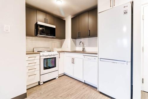 1 bedroom apartment for rent in Montreal - Le Plateau-Mont-Royal — photo 7
