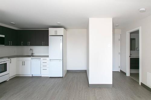 1 bedroom apartment for rent in Montreal - Le Plateau-Mont-Royal — photo 6