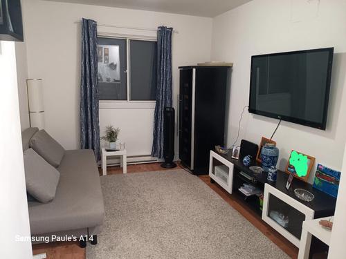1 bedroom apartment for rent in Montreal - Rivière-des-Prairies–Pointe-aux-Trembles — photo 7