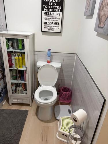 Appartement de 2 chambres à louer à Lévis — photo 9