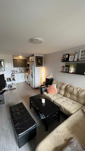 1 bedroom apartment for rent in Montreal - Le Plateau-Mont-Royal — photo 4