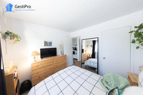 Studio à louer à Lévis — photo 6