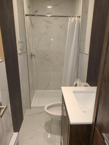 Appartement de 1 chambre à louer à Montreal - Le Plateau-Mont-Royal — photo 13
