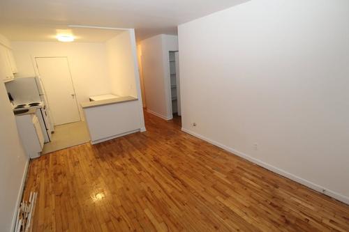 1 bedroom apartment for rent in Montreal - Le Plateau-Mont-Royal — photo 2