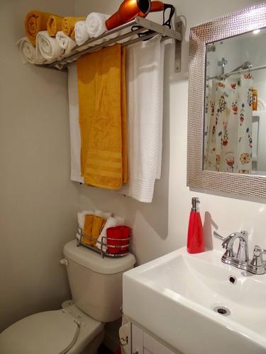 1 bedroom apartment for rent in Québec - La Cité-Limoilou — photo 3