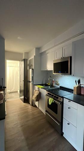 1 bedroom apartment for rent in Montreal - Le Plateau-Mont-Royal — photo 3