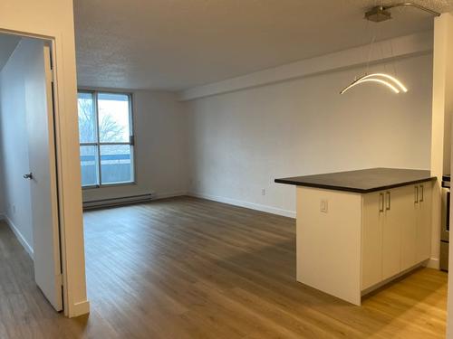 1 bedroom apartment for rent in Gatineau — photo 3