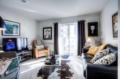 1 bedroom apartment for rent in Laval — photo 3