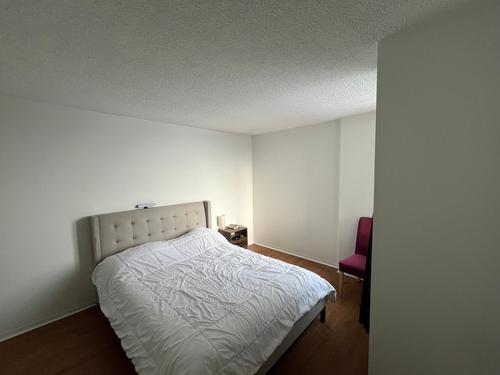 2 bedrooms apartment for rent in Montreal - Le Plateau-Mont-Royal — photo 3