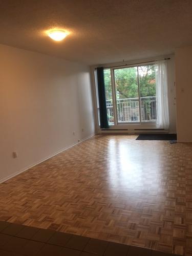 Appartement de 1 chambre à louer à Montreal - Le Plateau-Mont-Royal — photo 4