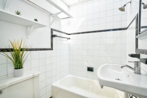 1 bedroom apartment for rent in Montreal - Rosemont–La Petite-Patrie — photo 6