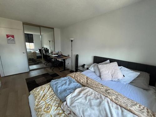 Appartement de 1 chambre à louer à Montreal - Le Plateau-Mont-Royal — photo 6