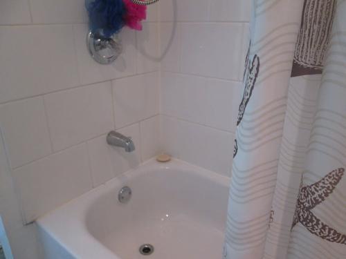 1 bedroom apartment for rent in Gatineau — photo 12
