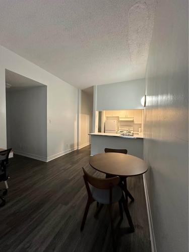 1 bedroom apartment for rent in Montreal - Le Plateau-Mont-Royal — photo 3