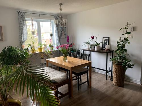 2 bedrooms apartment for rent in Gatineau — photo 4