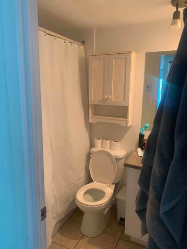 1 bedroom apartment for rent in Longueuil — photo 4