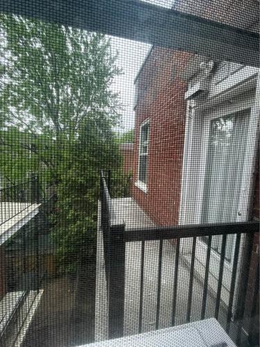 2 bedrooms apartment for rent in Montreal - Le Plateau-Mont-Royal — photo 11