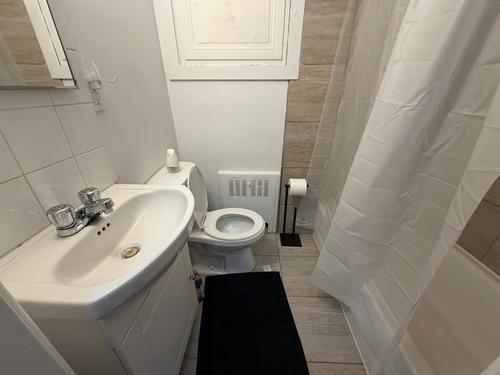 Studio for rent in Montreal - Le Plateau-Mont-Royal — photo 6