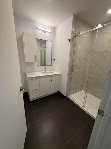 Appartement de 3 chambres à louer à Longueuil — photo 10