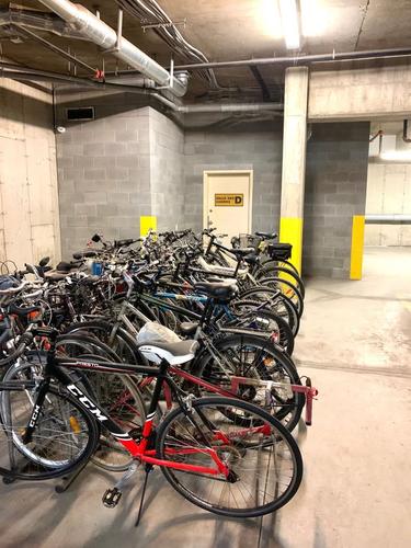 Appartement de 1 chambre à louer à Brossard — photo 16