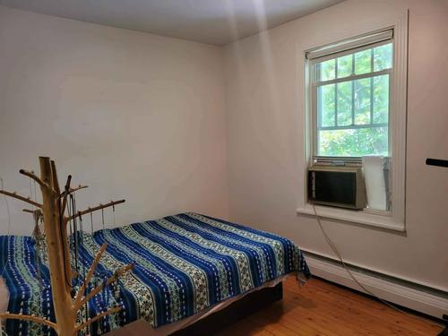 1 bedroom apartment for rent in Lévis — photo 11