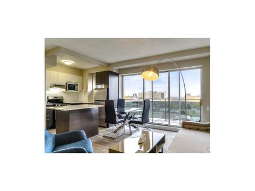 Appartement de 1 chambre à louer à Montreal - Ville-Marie — photo 3