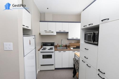 Appartement de 1 chambre à louer à Québec - La Cité-Limoilou — photo 6