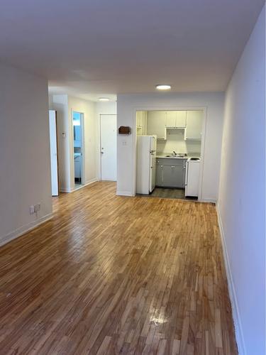 1 bedroom apartment for rent in Montreal - Rosemont–La Petite-Patrie — photo 3