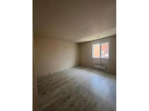 Appartement de 2 chambres à louer à Québec - La Cité-Limoilou — photo 13