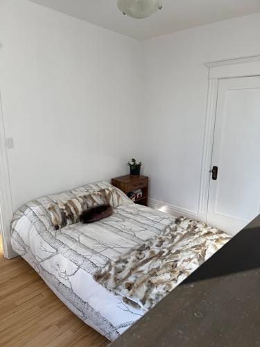 3 bedrooms apartment for rent in Québec - La Cité-Limoilou — photo 16