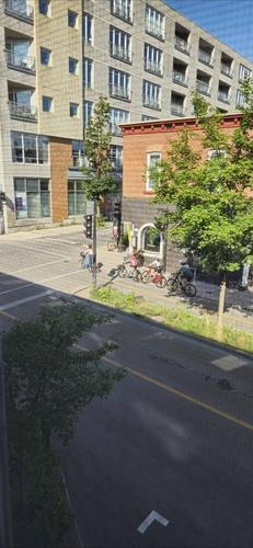 Studio for rent in Montreal - Le Plateau-Mont-Royal — photo 19