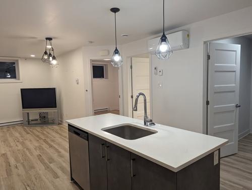 1 bedroom apartment for rent in Montréal — photo 4