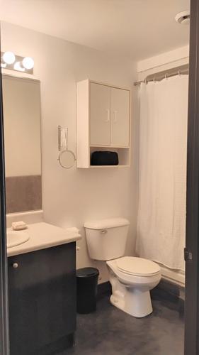 1 bedroom apartment for rent in Québec - La Cité-Limoilou — photo 7