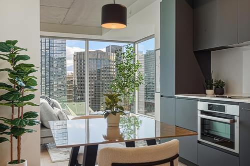 1 bedroom apartment for rent in Montreal - Ville-Marie — photo 6